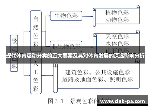 现代体育运动分类的五大要素及其对体育发展的深远影响分析
