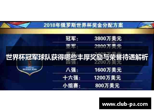 世界杯冠军球队获得哪些丰厚奖励与荣誉待遇解析
