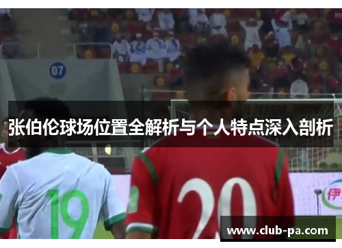 张伯伦球场位置全解析与个人特点深入剖析