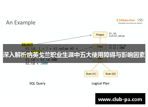 深入解析纳英戈兰职业生涯中五大使用障碍与影响因素 深入解析纳英戈兰职业生涯中五大使用障碍与影响因素