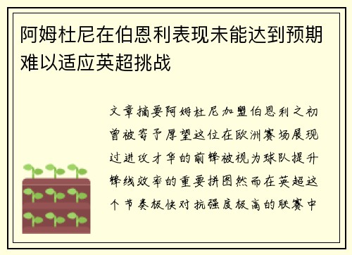 阿姆杜尼在伯恩利表现未能达到预期难以适应英超挑战 阿姆杜尼在伯恩利表现未能达到预期难以适应英超挑战